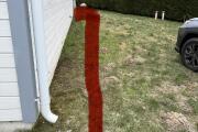 IMG_1350.jpeg