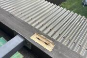 IMG_7426.jpeg
