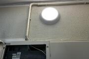 IMG_8668.jpeg