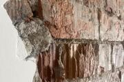 IMG_0849.jpeg