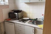 IMG_1232.jpeg