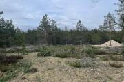 IMG_3434.JPEG