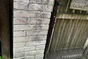 IMG_2331.jpeg