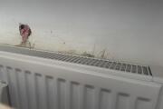 IMG_5449.jpeg