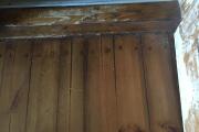 IMG_1677.jpeg