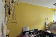 IMG_8824.jpeg