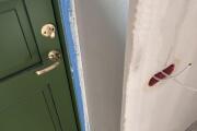 IMG_2475.jpeg