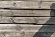 IMG_2446.jpeg