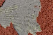 IMG_20260424_114651.jpg