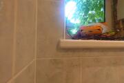 20260729_090532.JPG