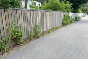 IMG_6252.jpeg