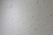 IMG_0216.jpeg