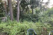 IMG_5751.JPG