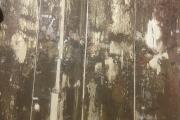 IMG_9094.jpeg