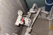 IMG_6847.jpeg