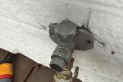 IMG_1731.jpeg