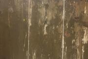 IMG_9096.jpeg