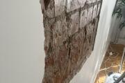 IMG_0850.jpeg
