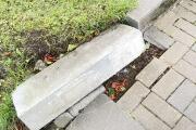 IMG_8480.JPEG