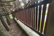 IMG_3150.jpeg