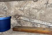 IMG_3339.jpeg