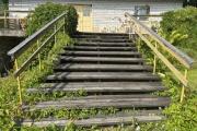 IMG_2443.jpeg