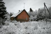 IMG_20250103_113038.jpg