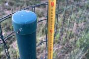 IMG_4874.jpeg
