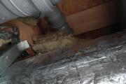 IMG_20260716_155934_028.jpg
