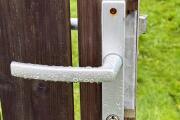 IMG_5181.jpeg