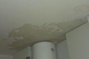 20260821_170357.jpg