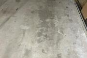 IMG_7965.jpeg