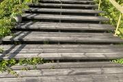 IMG_2445.jpeg