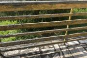IMG_2447.jpeg