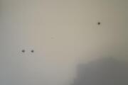 IMG_5454.jpeg