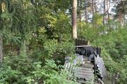 IMG_5763.JPG