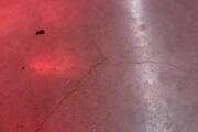 IMG_3606.jpeg