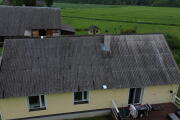 IMG_7501.jpeg