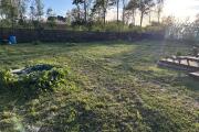 IMG_4238.jpeg