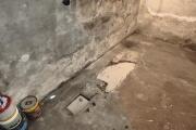 IMG_20260820_194639.jpg