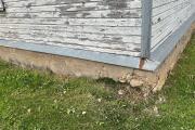 IMG_2911.jpeg