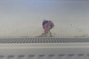 IMG_5448.jpeg