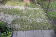 IMG_3576.jpeg