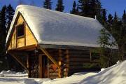 off-grid-cabin-in-the-woods3.jpg