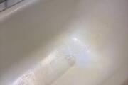 IMG_5107.jpeg