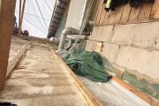 IMG_7691.jpeg