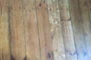 IMG_1681.jpeg