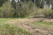 IMG_2727.JPEG