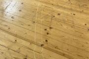 IMG_4282.jpeg