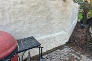 IMG_7917.jpeg